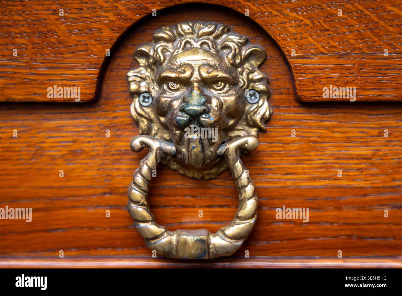 Porta a battente in legno con testa di leone antica. Primo piano di un battitoio decorato a testa di leone in ottone montato su una porta in legno lucido, che mostra un design vintage Foto Stock