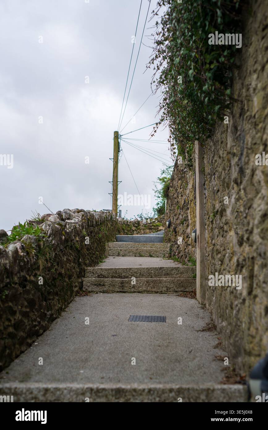 Scalinata storica in pietra nel passaggio ricoperto di edera a Looe, in Cornovaglia sotto Moody Sky Foto Stock