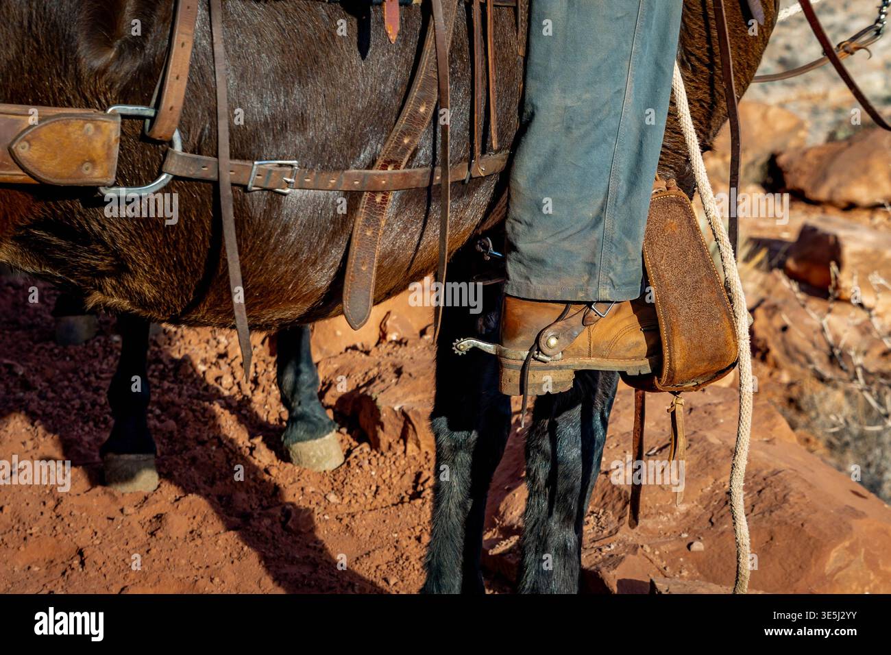 Vista ravvicinata degli stivali da cowboy americani con speroni di metallo appoggiati su staffe su un cavallo sellato Foto Stock