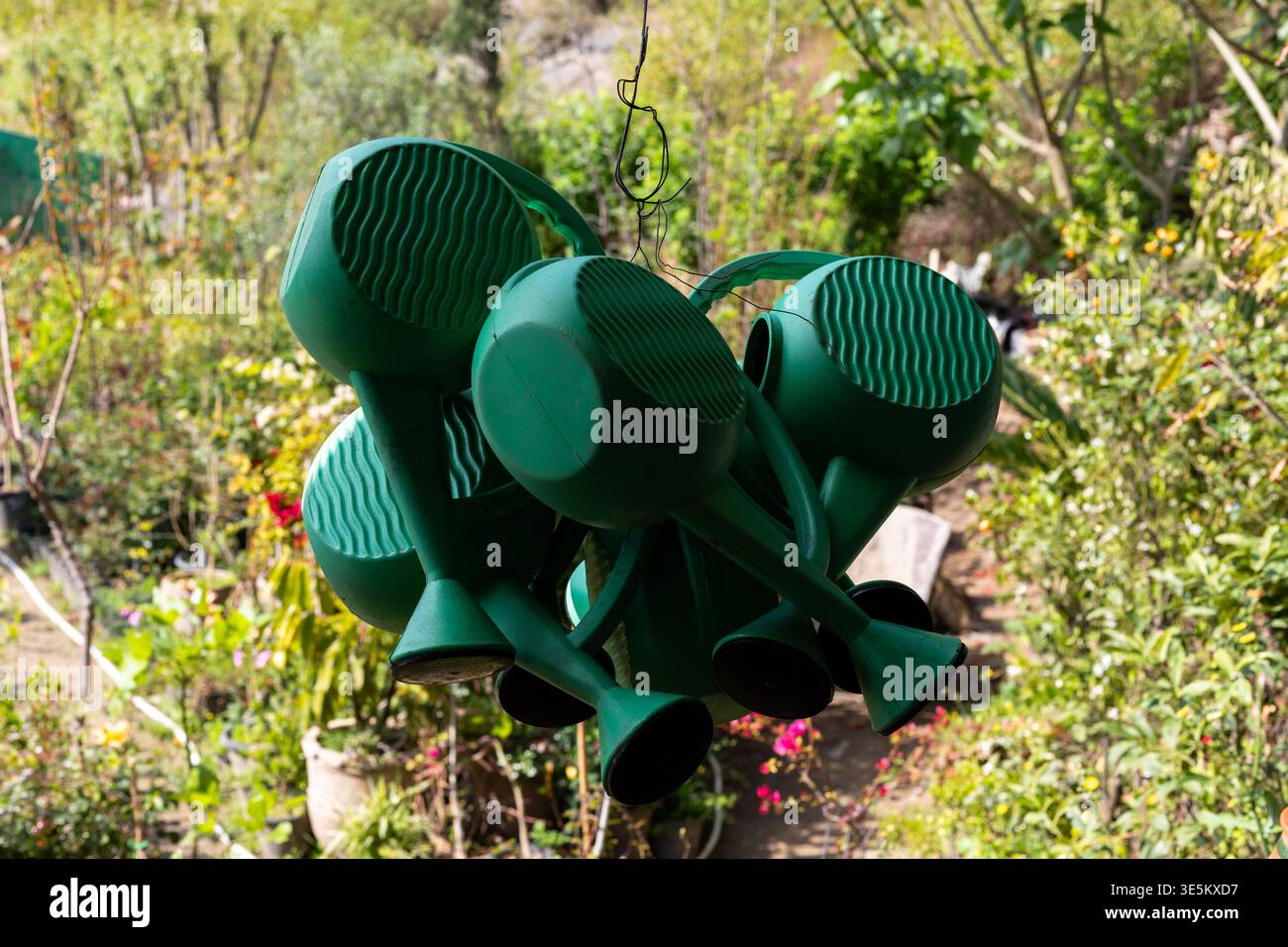 Primo piano delle nuove lattine di irrigazione in plastica Foto Stock