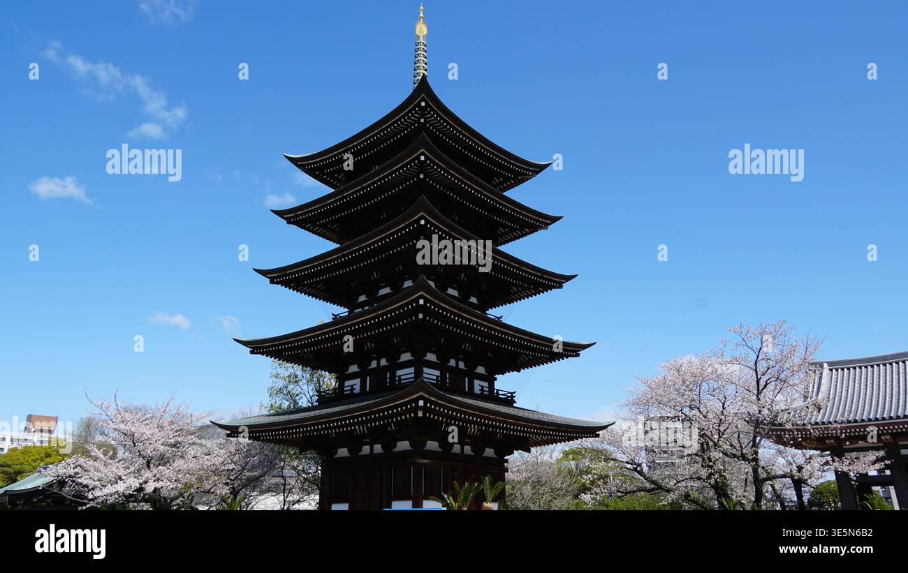 Sorgente sacra: Pagoda a cinque piani e fiori di ciliegio a Nittai-ji Foto Stock