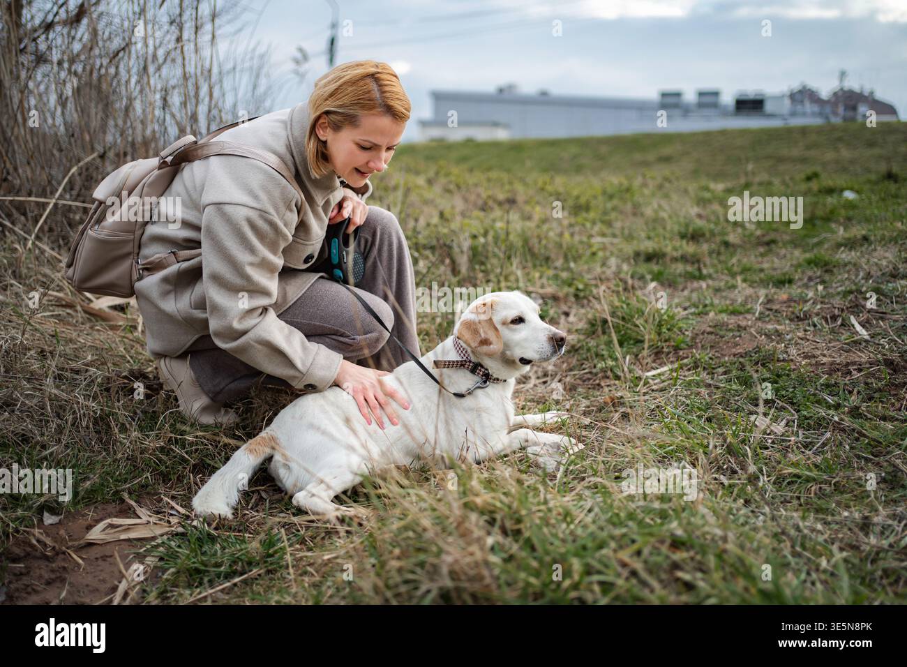 Donna che accarezza il suo cane labrador bianco in un campo all'aperto Foto Stock