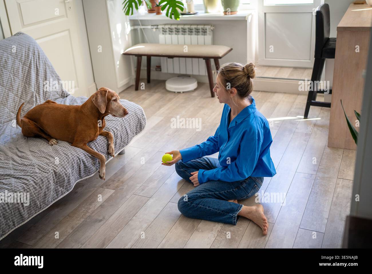Donna che lancia la palla, gioca con il cane sul divano a casa. Velocità di reazione del treno, gioco di animali domestici attivo al chiuso Foto Stock