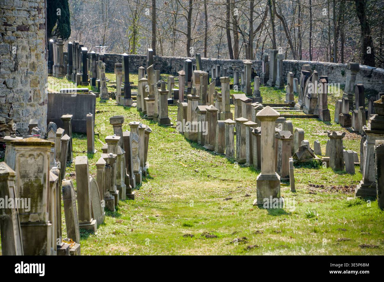 Cimitero ebraico, Warburg, Renania settentrionale-Vestfalia, Germania, Europa Foto Stock