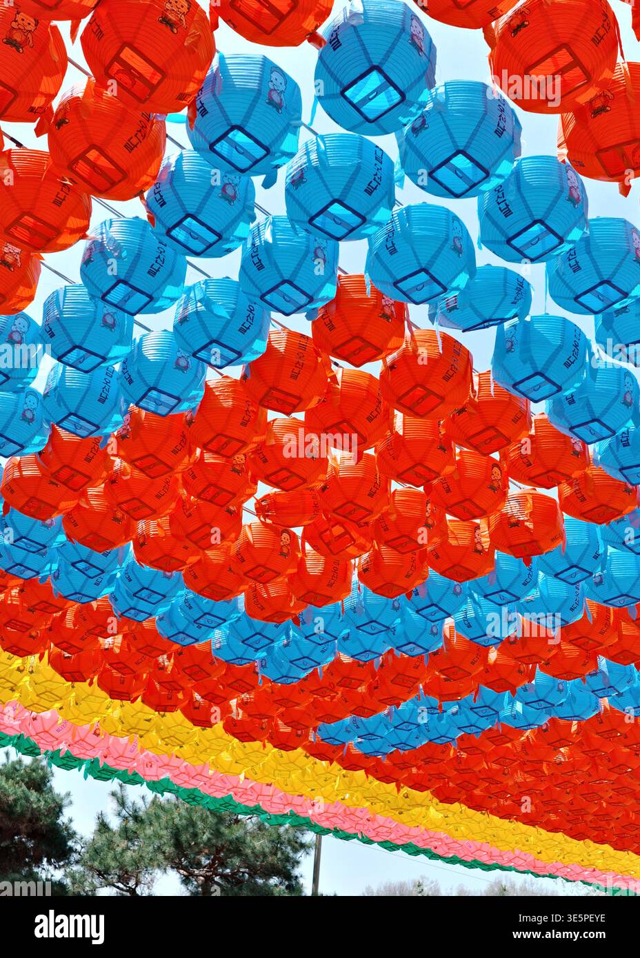 Lanterne di loto buddista rosse e blu appese in file colorate contro un cielo limpido, Festa delle Lanterne del Loto di compleanno del Buddha, Corea del Sud, primavera. Foto Stock