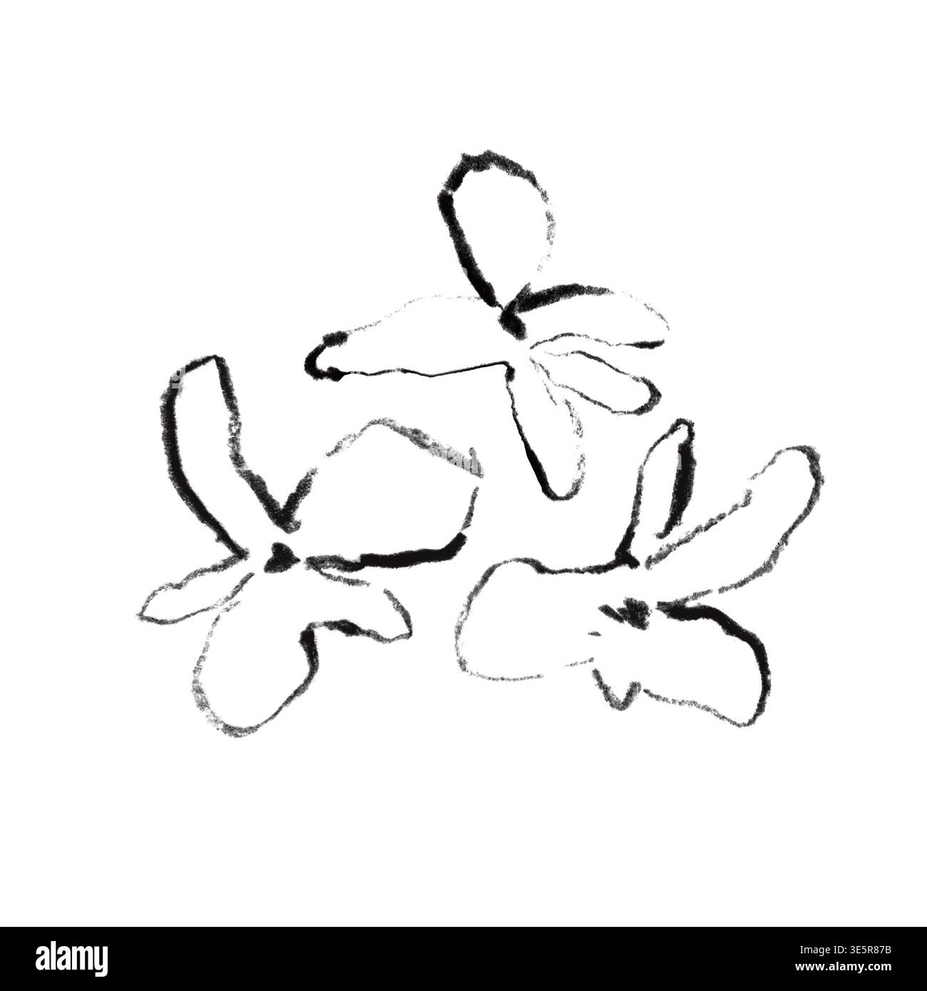 Sagome floreali minimali, elementi botanici a carboncino, png floreale boho Foto Stock
