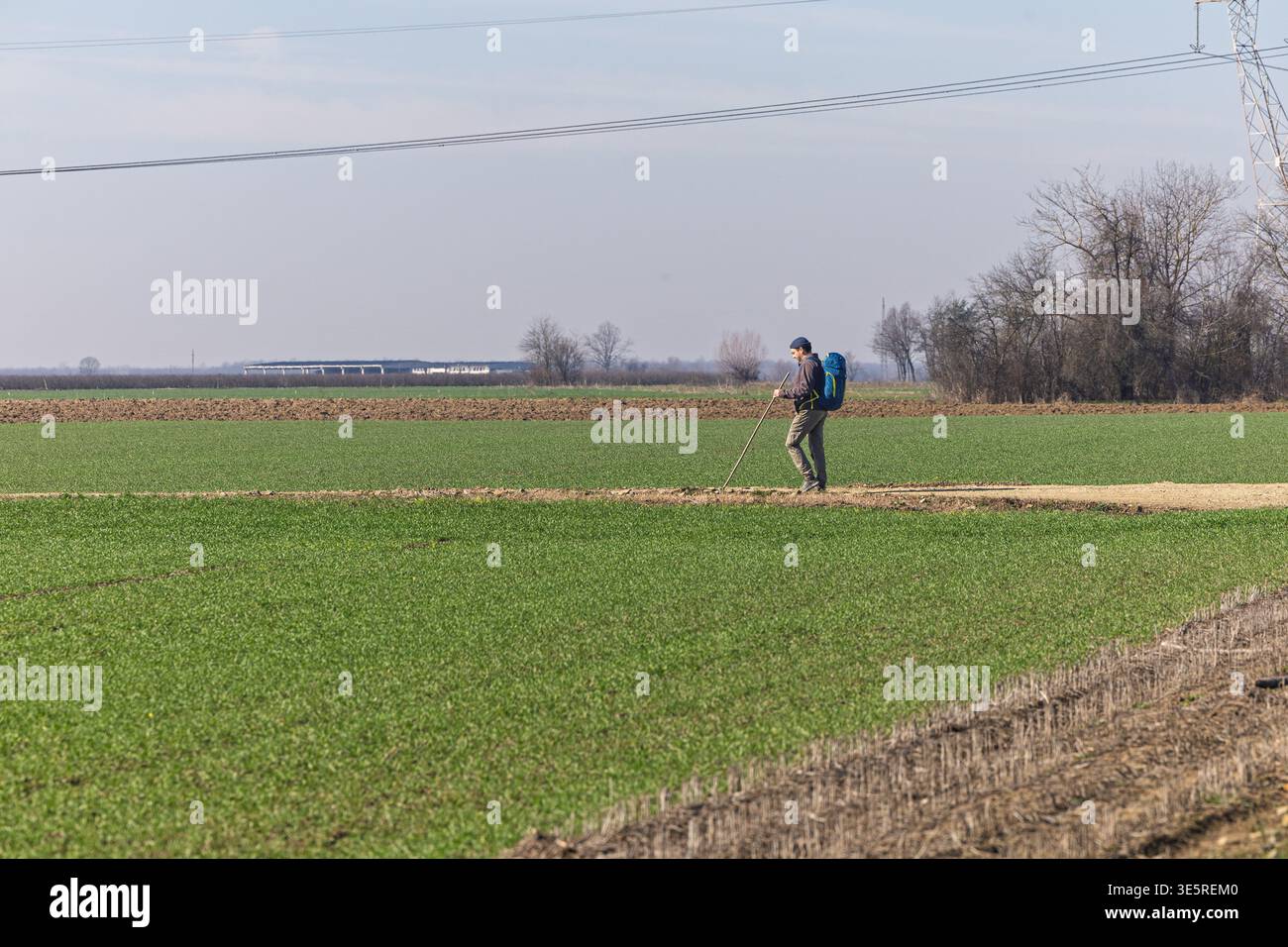 Un escursionista solitario con uno zaino blu cammina lungo un sentiero sterrato attraverso ampi campi verdi nella campagna rurale, utilizzando un bastone da passeggio sotto a. Foto Stock