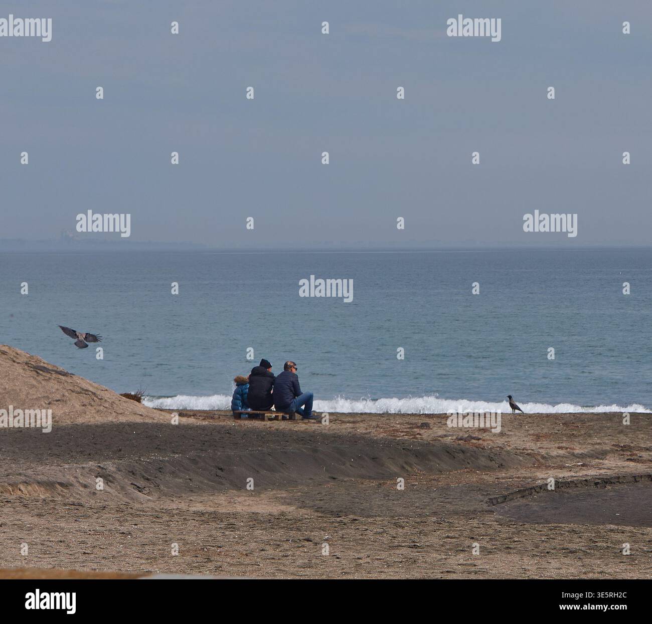 Tre persone si rilassano su una spiaggia sabbiosa in riva all'oceano, con dolci onde e corvi che volano in lontananza, creando una tranquilla scena costiera Foto Stock