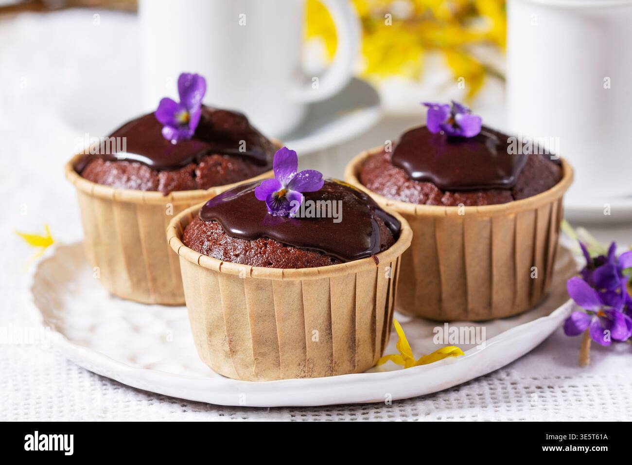Cupcake al cioccolato ricoperti di glassa e violette serviti con caffè, circondati da fiori viola e forsythia, creando un dolce dolce dolce primaverile Foto Stock
