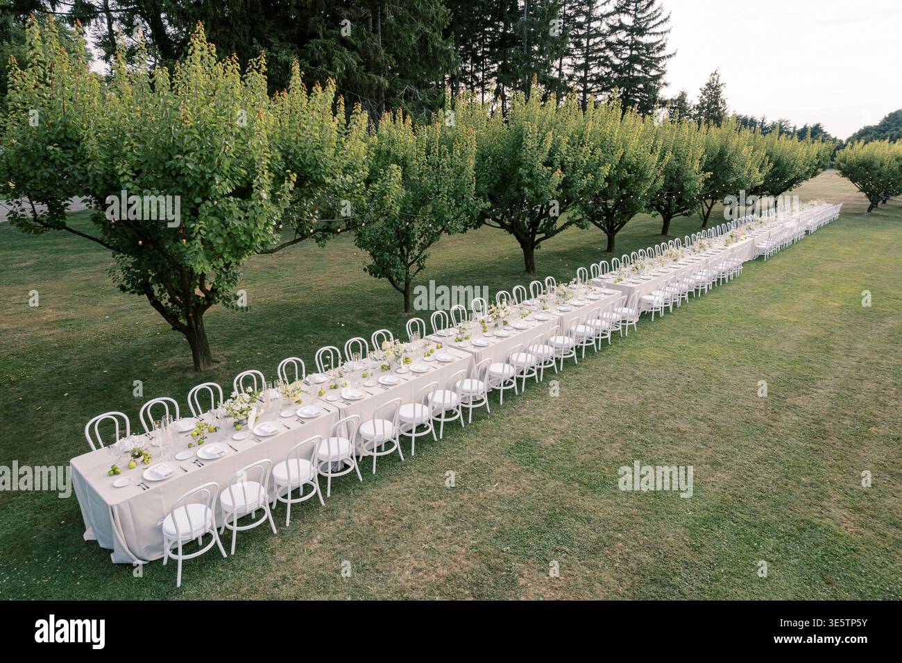 Disposizione per banchetti a tavolo lungo Orchard - Niagara Wedding Foto Stock