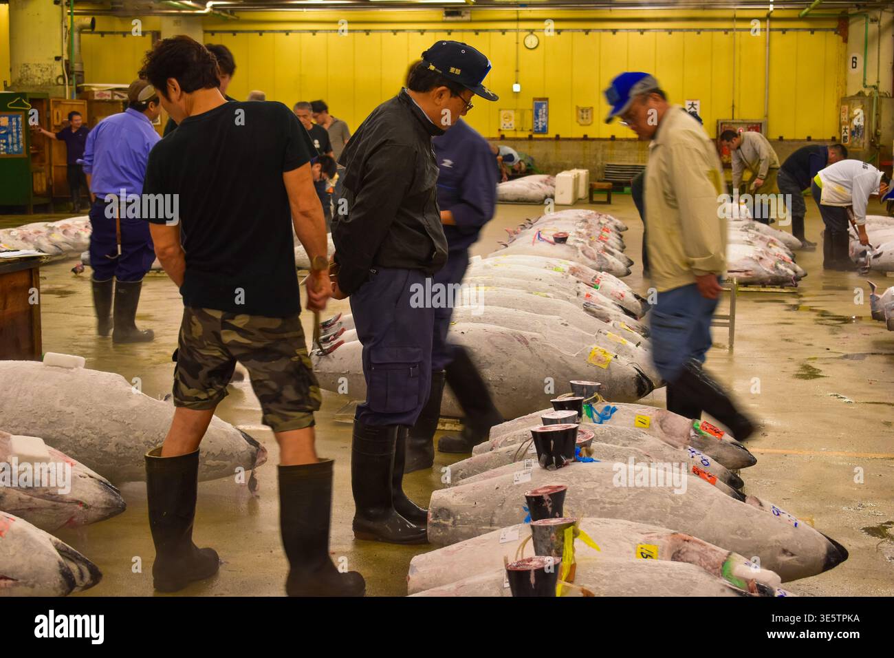 Lavoratori all'asta del tonno del mercato di Tsukiji Foto Stock