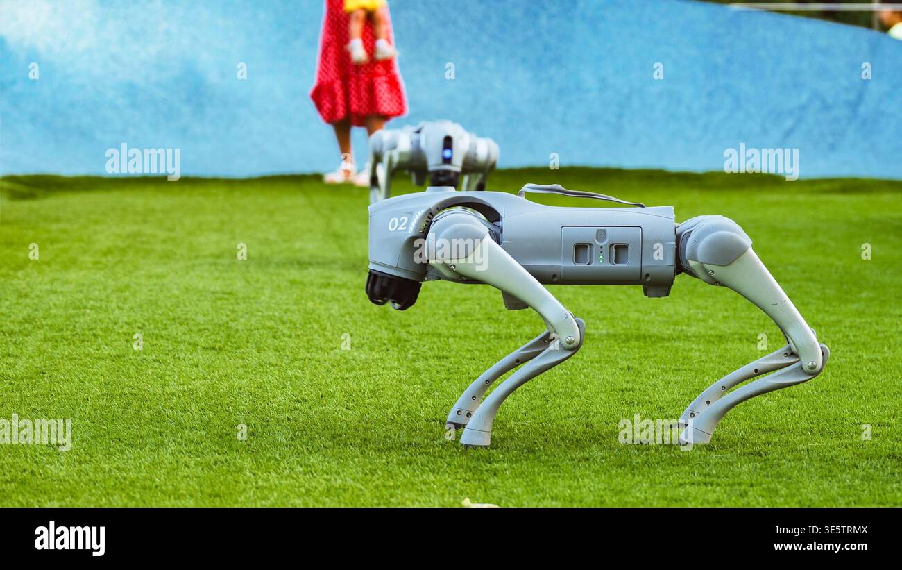 Il cane robot Unitree Go1 è in piedi su erba verde con le persone che osservano in background Foto Stock
