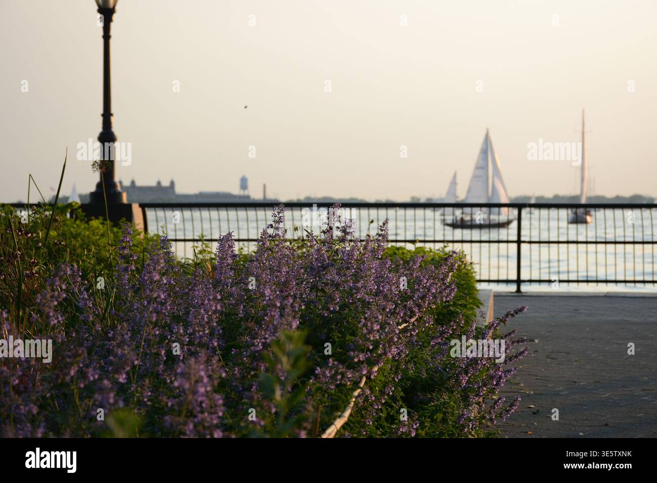 New York, USA - 30 maggio 2019: Battery Park a Lower Manhattan Foto Stock