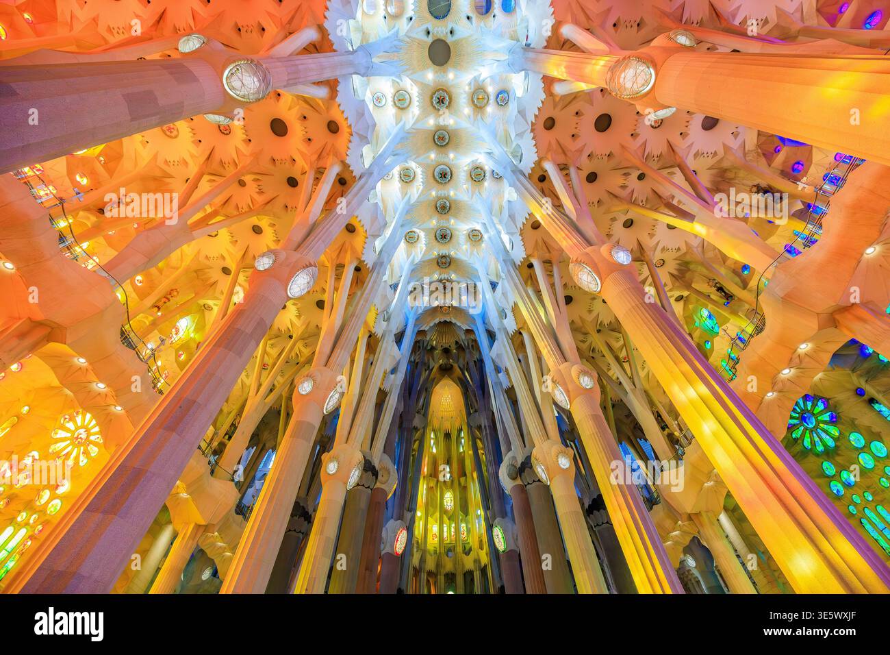 Barcellona in Catalogna, Spagna - 10 gennaio 2026: Soffitto e colonne della Sagrada Família. Foto Stock