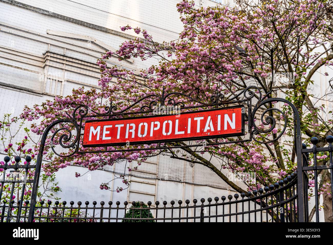 Il classico segnale verde della stazione di Saint-Georges emerge accanto a un baldacchino di rami rosa in fiore in primavera, a Parigi, Francia Foto Stock