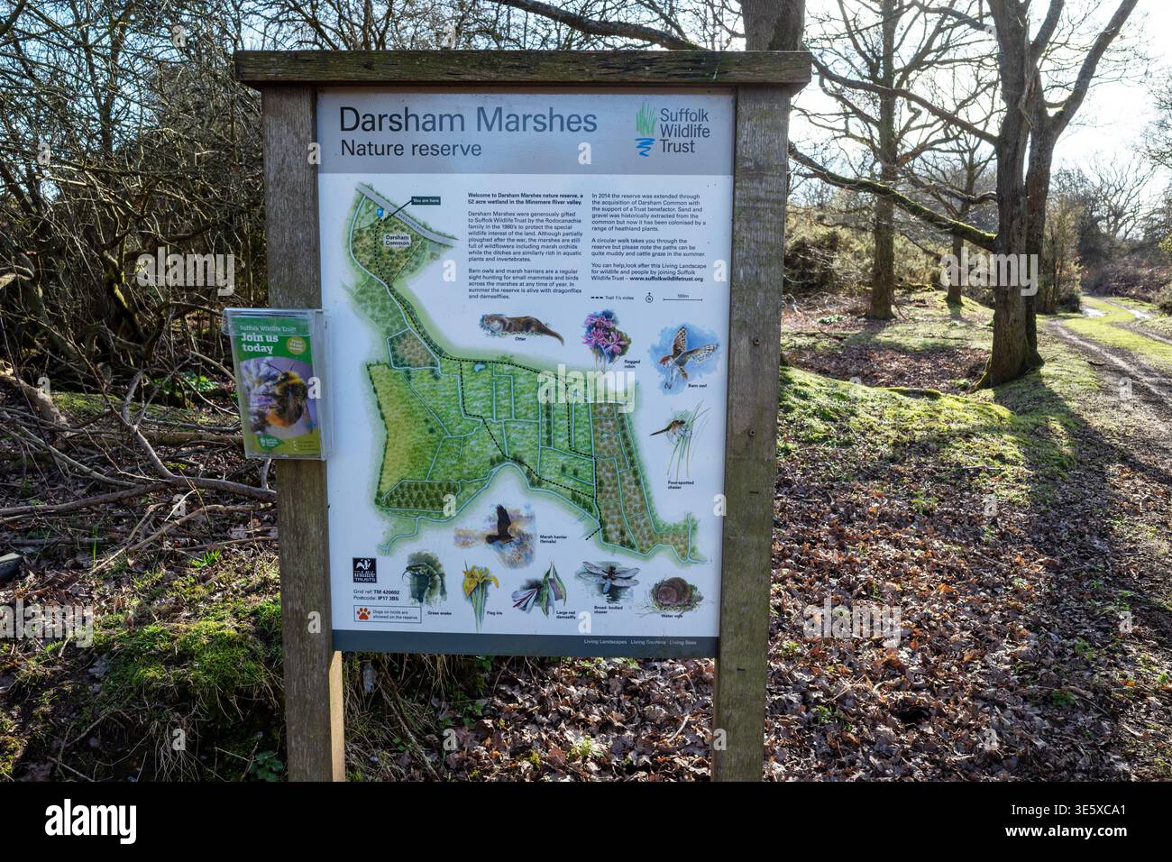 Riserva naturale di Darsham, Suffolk Foto Stock