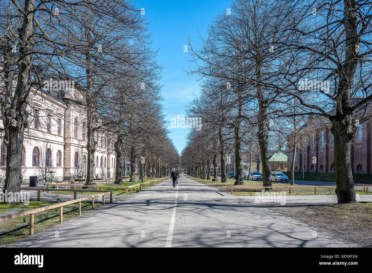 La passeggiata meridionale all'inizio della primavera a Norrköping, Svezia. Le Promenadi di Norrköping sono state ispirate ai viali di Parigi Foto Stock