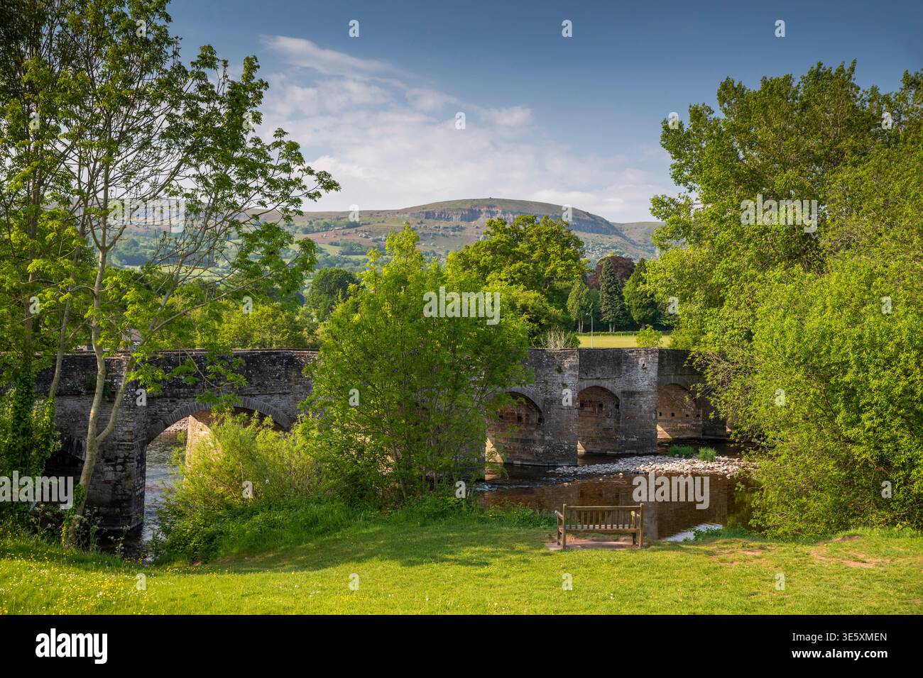 Regno Unito, Galles, Powys, Brecon Beacons, Crickhowell, antico ponte sul fiume Usk Foto Stock