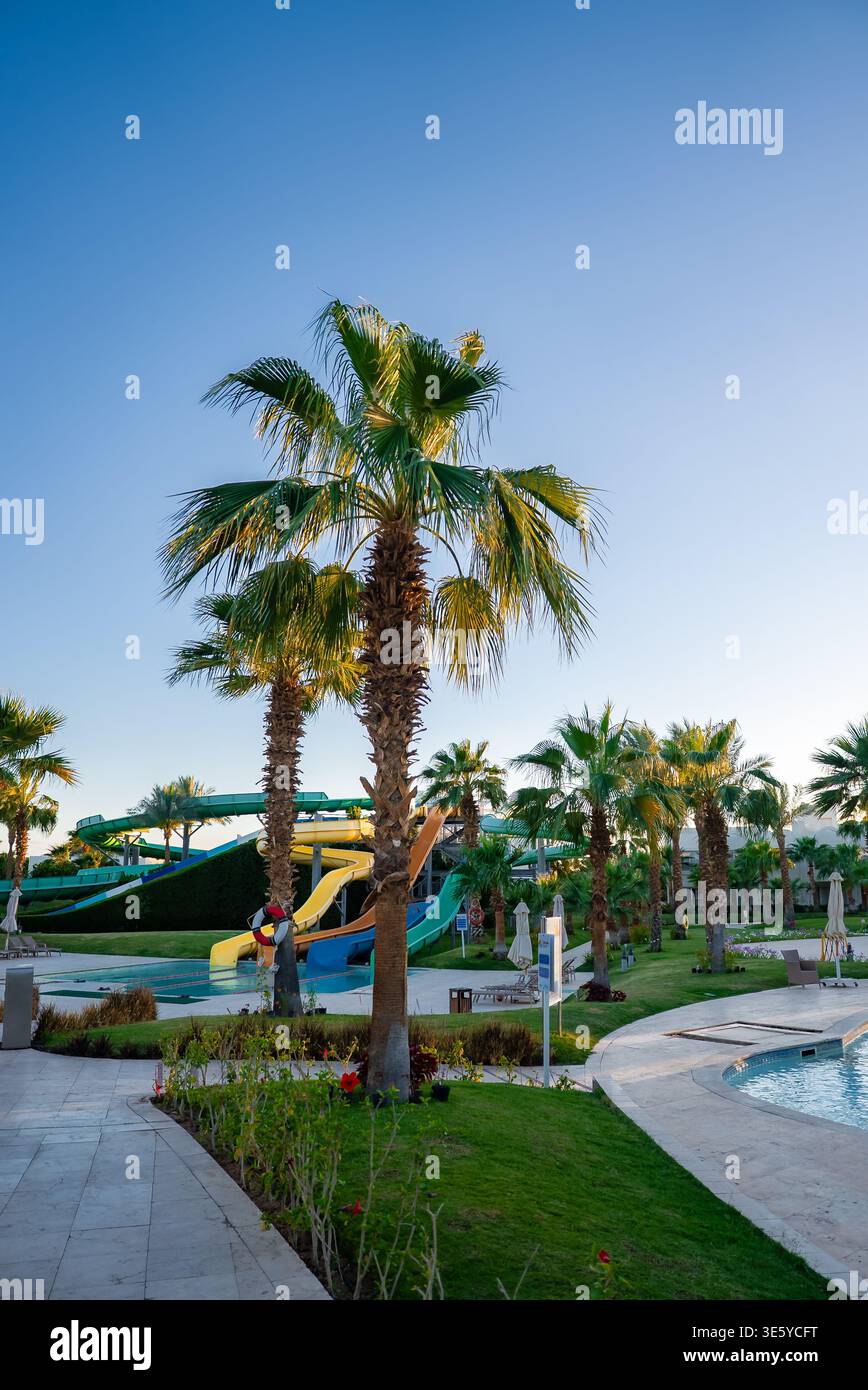 Palme e scivoli d'acqua presso il resort di Sharm El Sheikh, Egitto Foto Stock