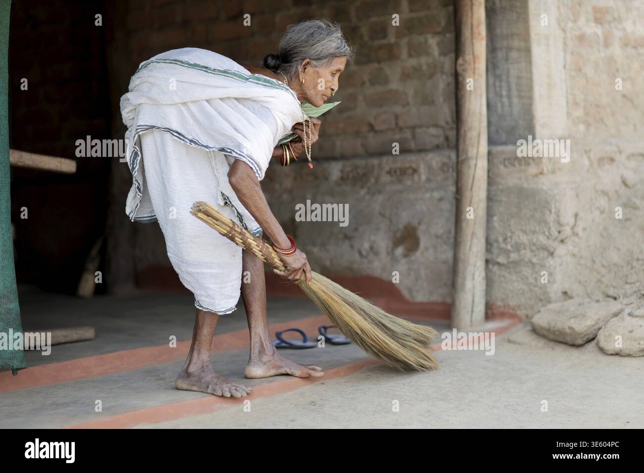 Odisha, India - 26 marzo 2026: Vista di una donna anziana in un sari bianco, che spazza con grazia il terreno con una scopa di paglia, incarnando la resilienza. Foto Stock