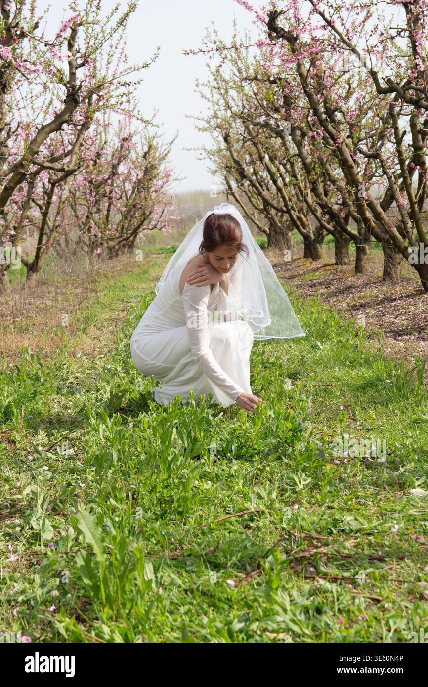 Sposa con abito da sposa bianco che tocca l'erba in un frutteto fiorito Foto Stock