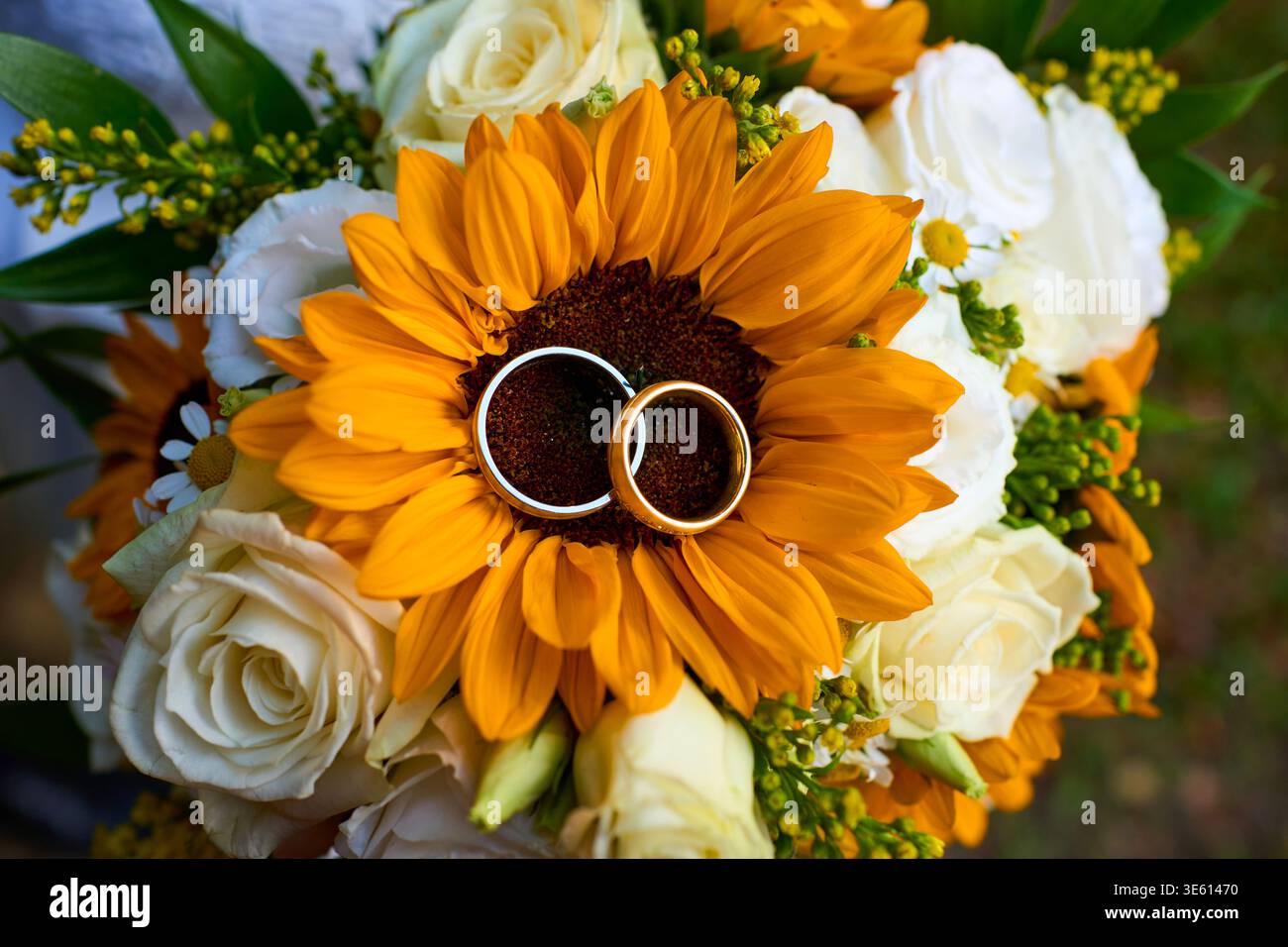 Primo piano di due fedi nuziali dorate poggiate su un girasole giallo brillante in un bouquet nuziale con rose bianche. Concetto di amore e matrimonio rustico. Foto Stock