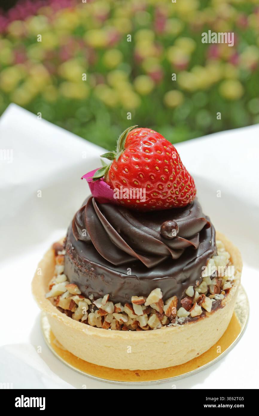 Deliziosa crostata al cioccolato con fragola fresca, una perfetta armonia di accoglienza e natura Foto Stock