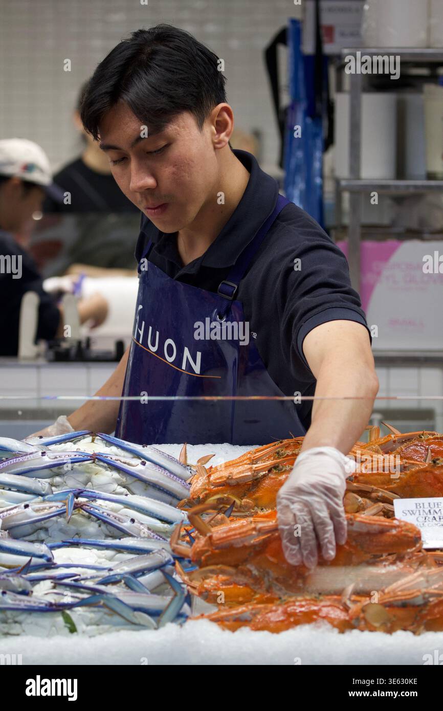 Sydney aprile 2026 - ritratti di persone bellissime attraverso Surry Hills, Sydney University, Harbour Bridge, stazione centrale e mercato del pesce. Foto Stock