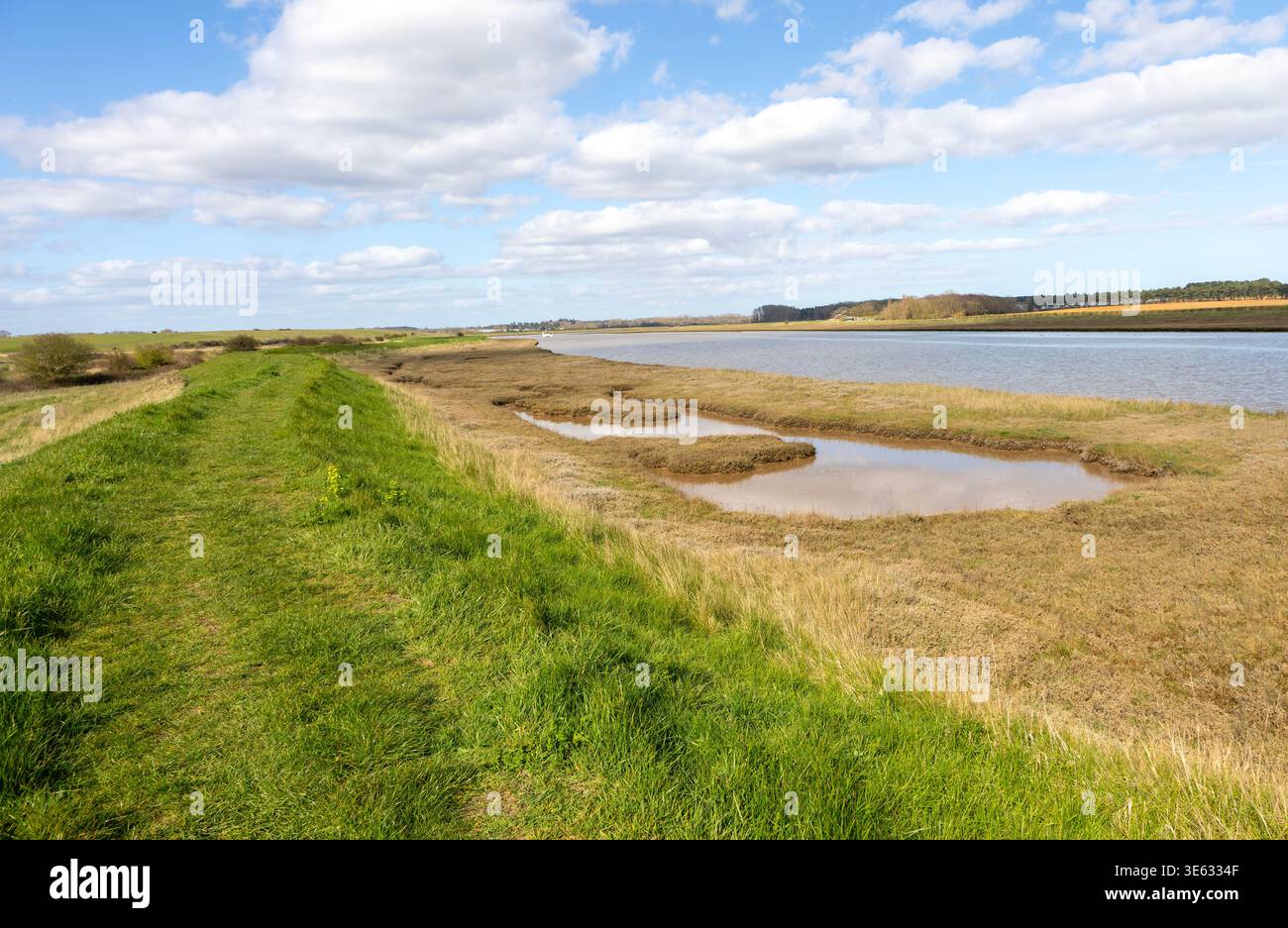 Vista panoramica a monte dal traghetto Butley River, Suffolk, Inghilterra, Regno Unito Foto Stock
