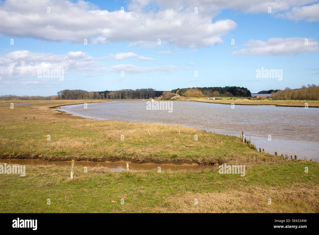 Vista panoramica a monte dal traghetto Butley River, Suffolk, Inghilterra, Regno Unito Foto Stock