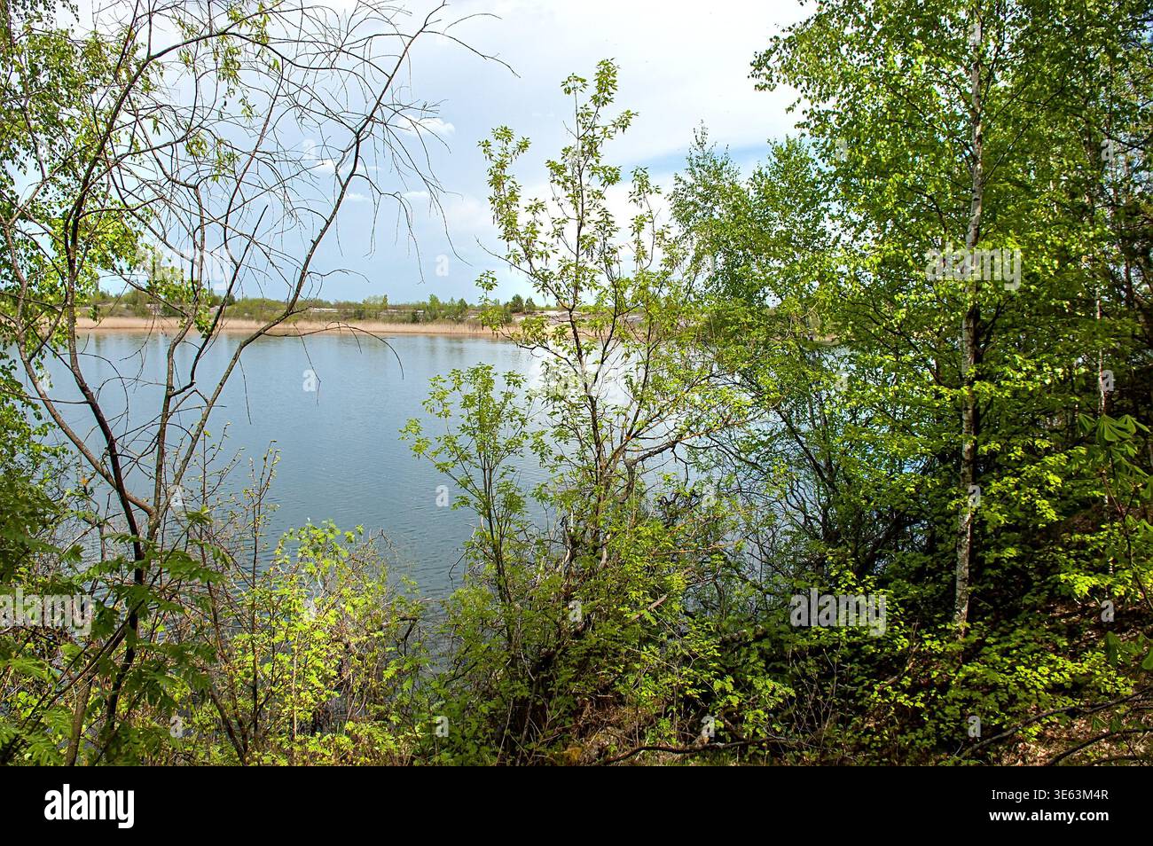Paesaggio primaverile nella zona di esclusione Pripyat Chernobyl Ucraina. Cespugli e alberi sovradimensionati recuperano il bordo dell'acqua in un'area abbandonata. La natura autentica si riprende Foto Stock