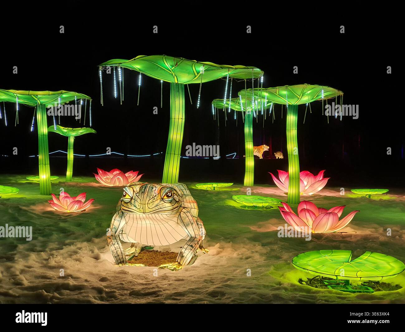 Una scena notturna all'aperto con sculture illuminate su larga scala di lanterne in un paesaggio innevato. In primo piano, una dettagliata lanterna rana con Foto Stock