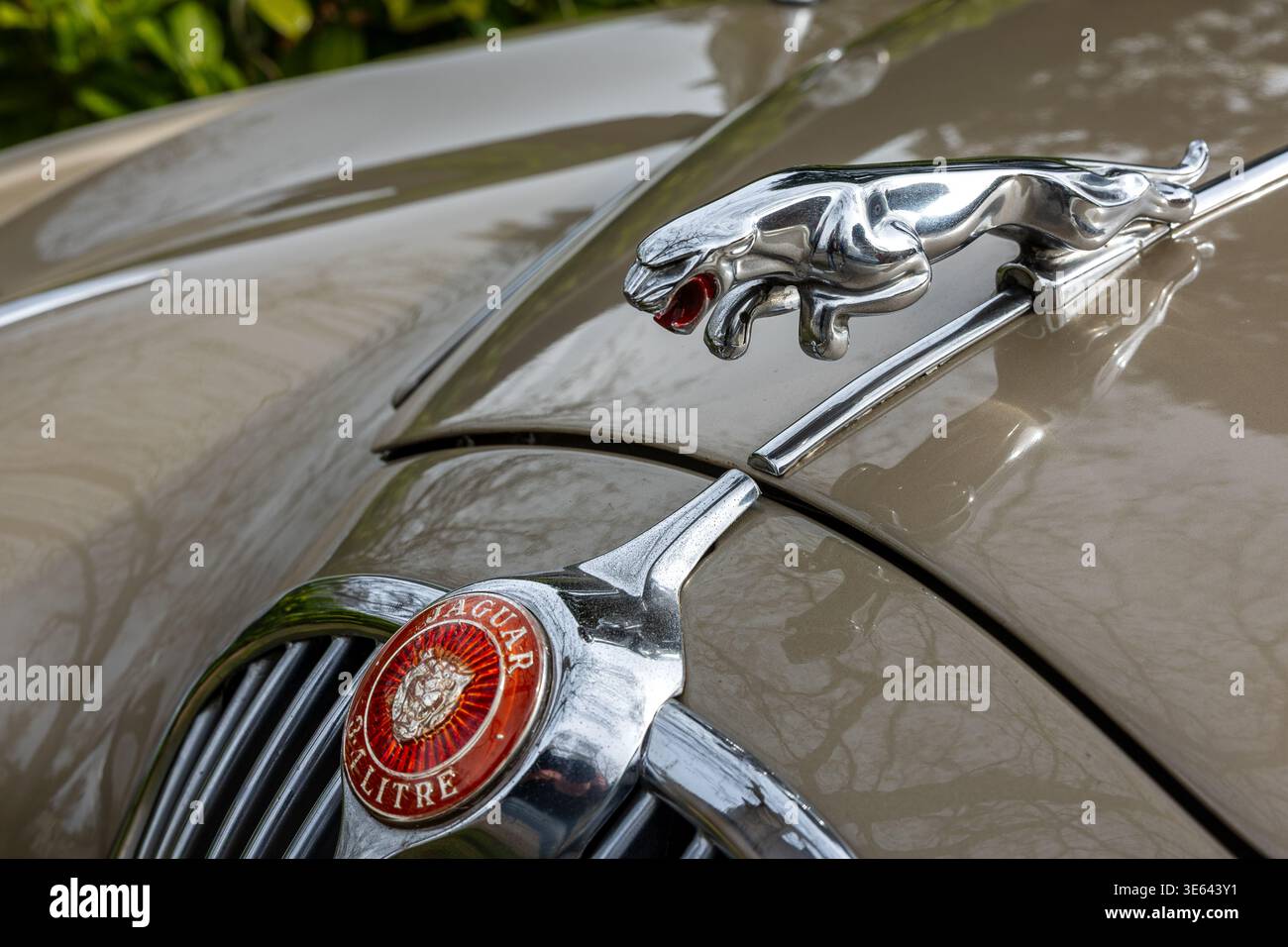 Decorazione e logo Jaguar Mark 2 da 3,4 litri sul cofano. Foto Stock