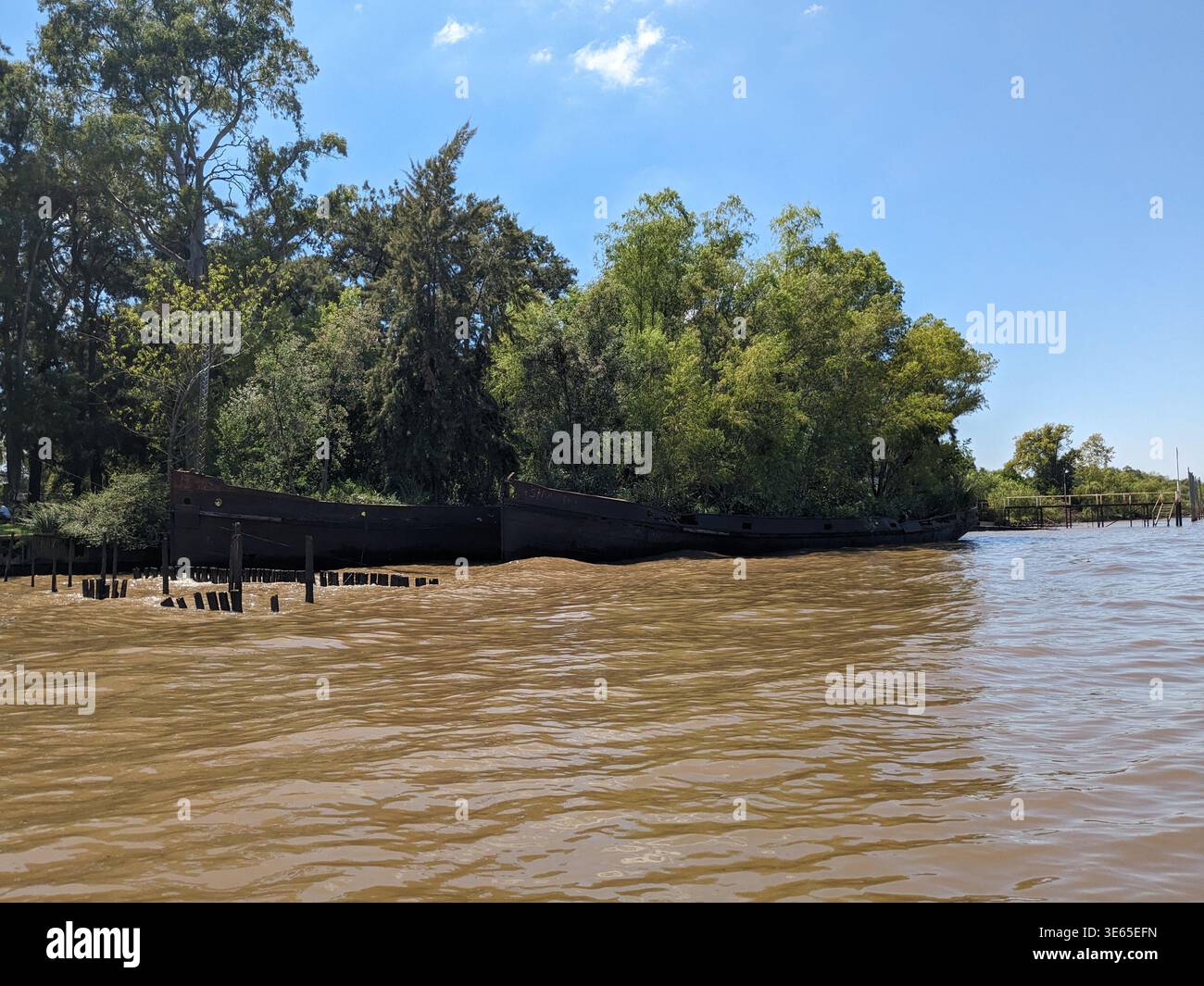 Una vista ravvicinata che mostra gli scafi di ferro arrugginiti di due relitti, ormeggiati fianco a fianco lungo una tranquilla riva alberata nel Delta del Paraná, Argentina. - Immagine stock catturata con smartphone