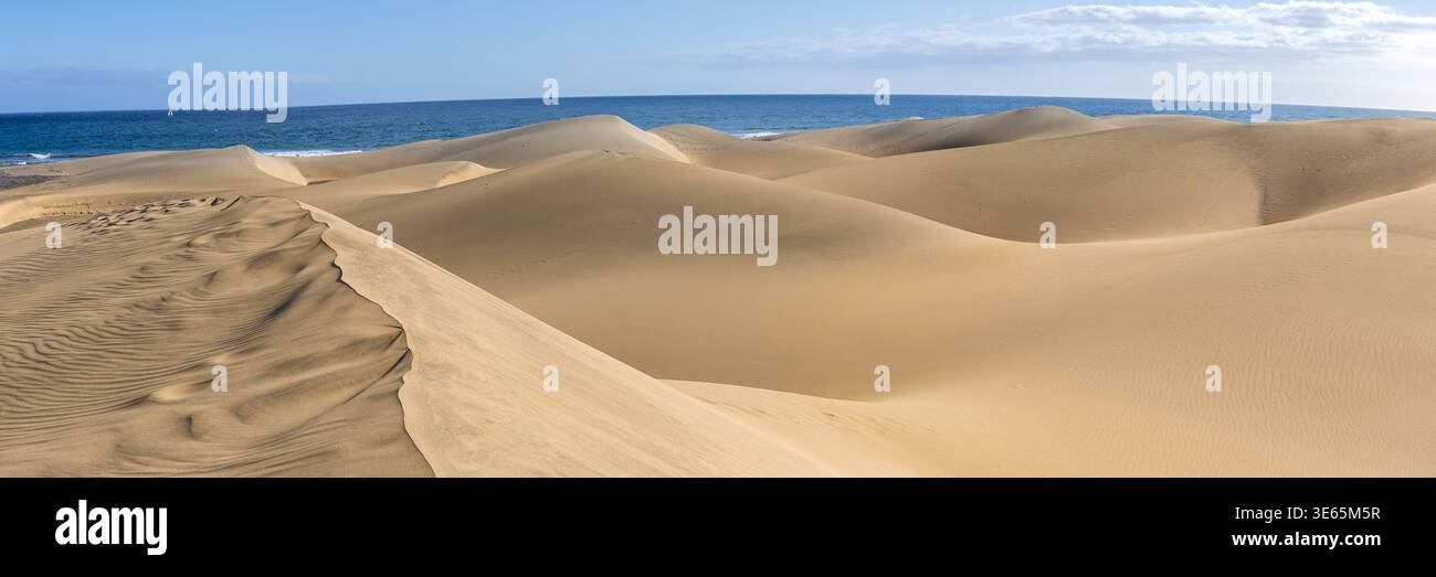 Dunas de Maspalomas deserto di dune di sabbia sull'isola di Gran Canaria vacanze panoramiche in viaggio in Spagna Foto Stock