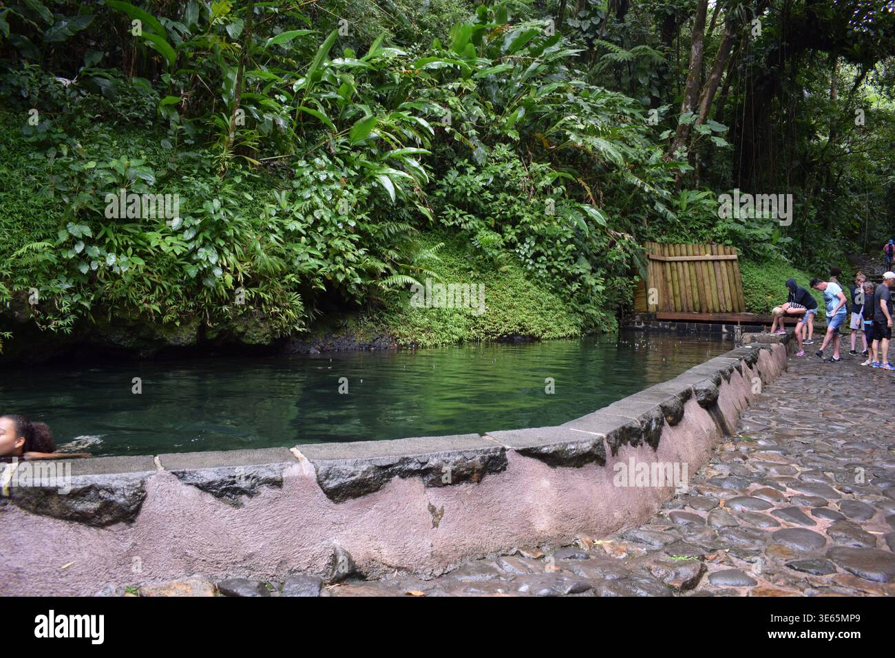Bassin d'eau chaude de la Soufrière en Guadalupa. Foto Stock