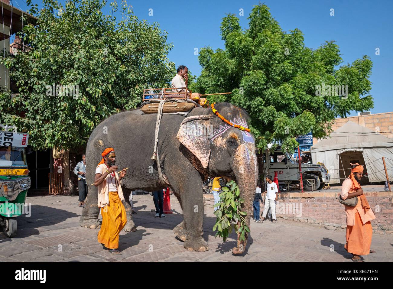 Uomo in sella a un elefante decorato per le celebrazioni Diwali a Jodhpur in India Foto Stock