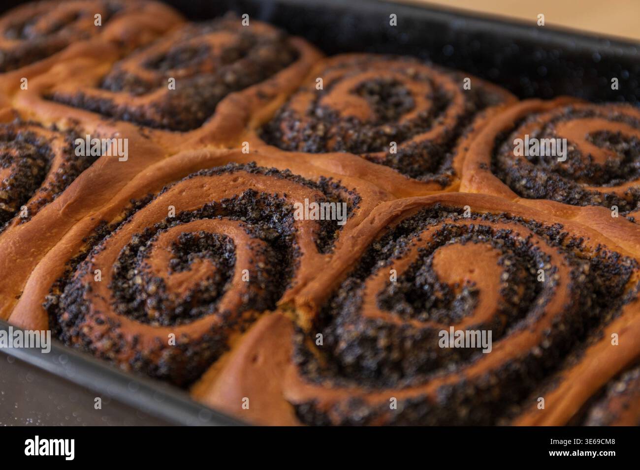 Primo piano di rotoli dolci dorati con ripieno di semi di papavero. Pasticceria fresca fatta in casa con consistenza a spirale Foto Stock