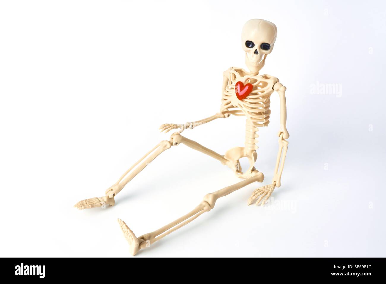 Scheletro giocoso con un cuore che mostra temi della vita, dell'amore e dell'umorismo in un ambiente creativo Foto Stock