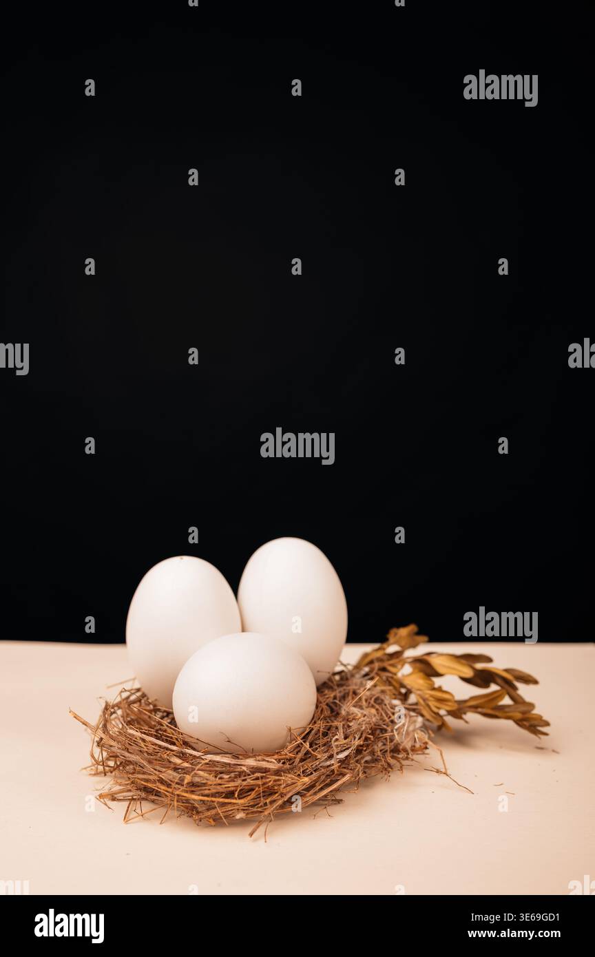 Allestimento sofisticato che mette in evidenza gli effetti di illuminazione artistici e di packaging premium Foto Stock