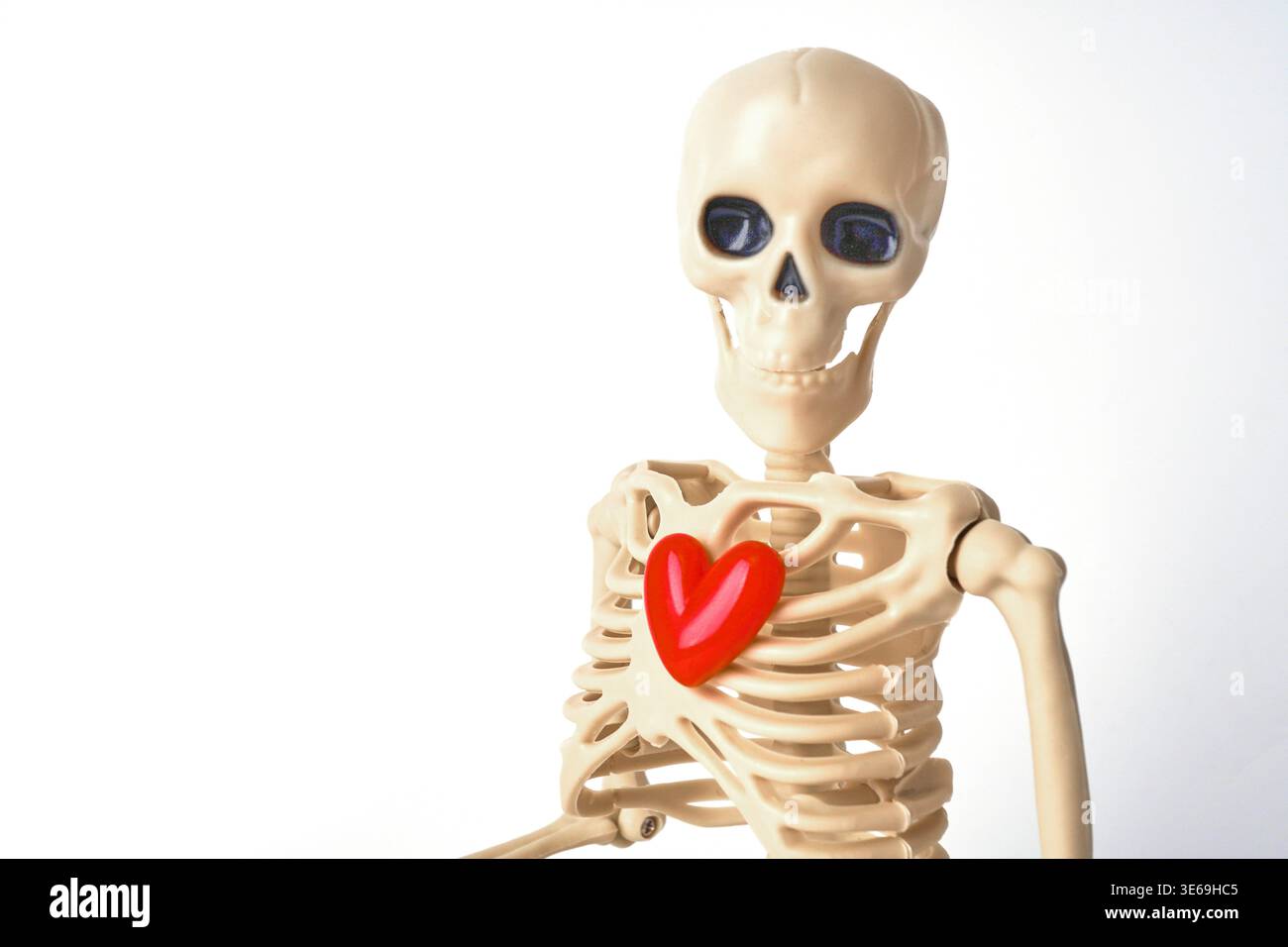 Mostra creativa di uno scheletro umano con un cuore rosso che simboleggia la vita e la vitalità Foto Stock