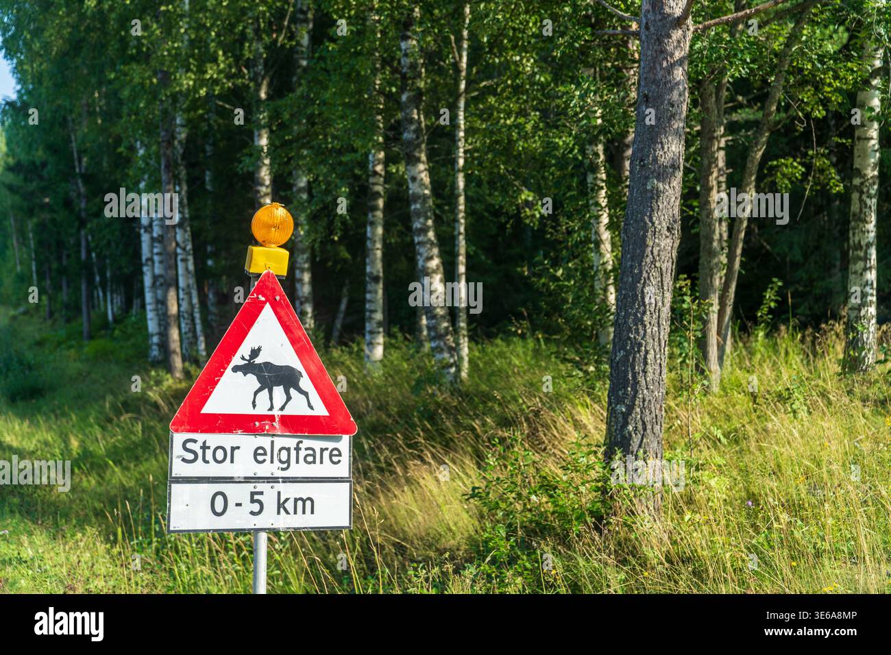 Un cartello stradale triangolare con il simbolo dell'alce avverte dell'attraversamento degli animali in Norvegia. Di seguito, una placca recita "Stor elgfare" (alto rischio di alce) per i prossimi 0-5 Foto Stock