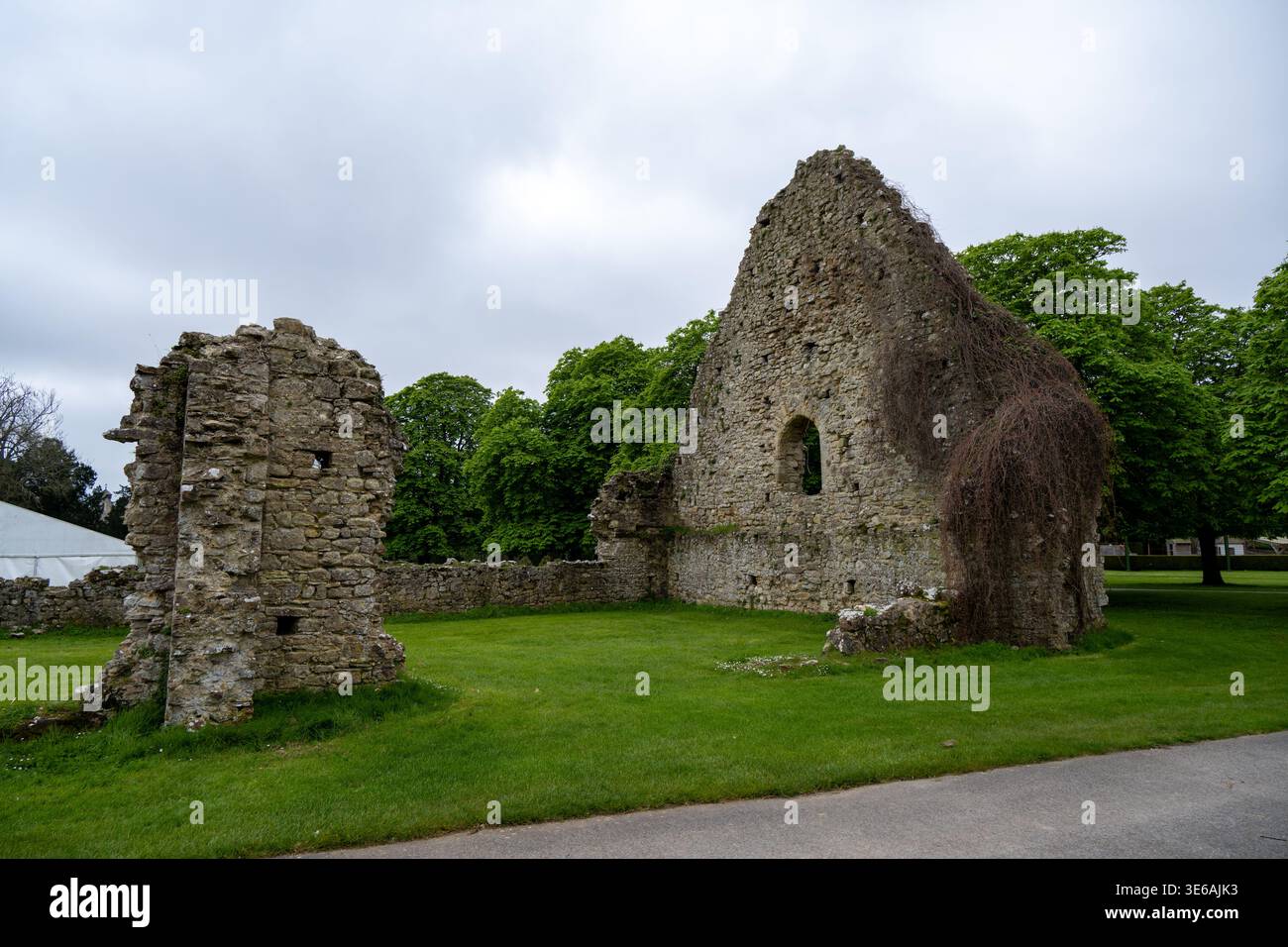 Rovine in pietra dell'abbazia di Beaulieu su un prato erboso con alberi e cielo nuvoloso a Beaulieu, Hampshire, Inghilterra, Regno Unito. Foto Stock