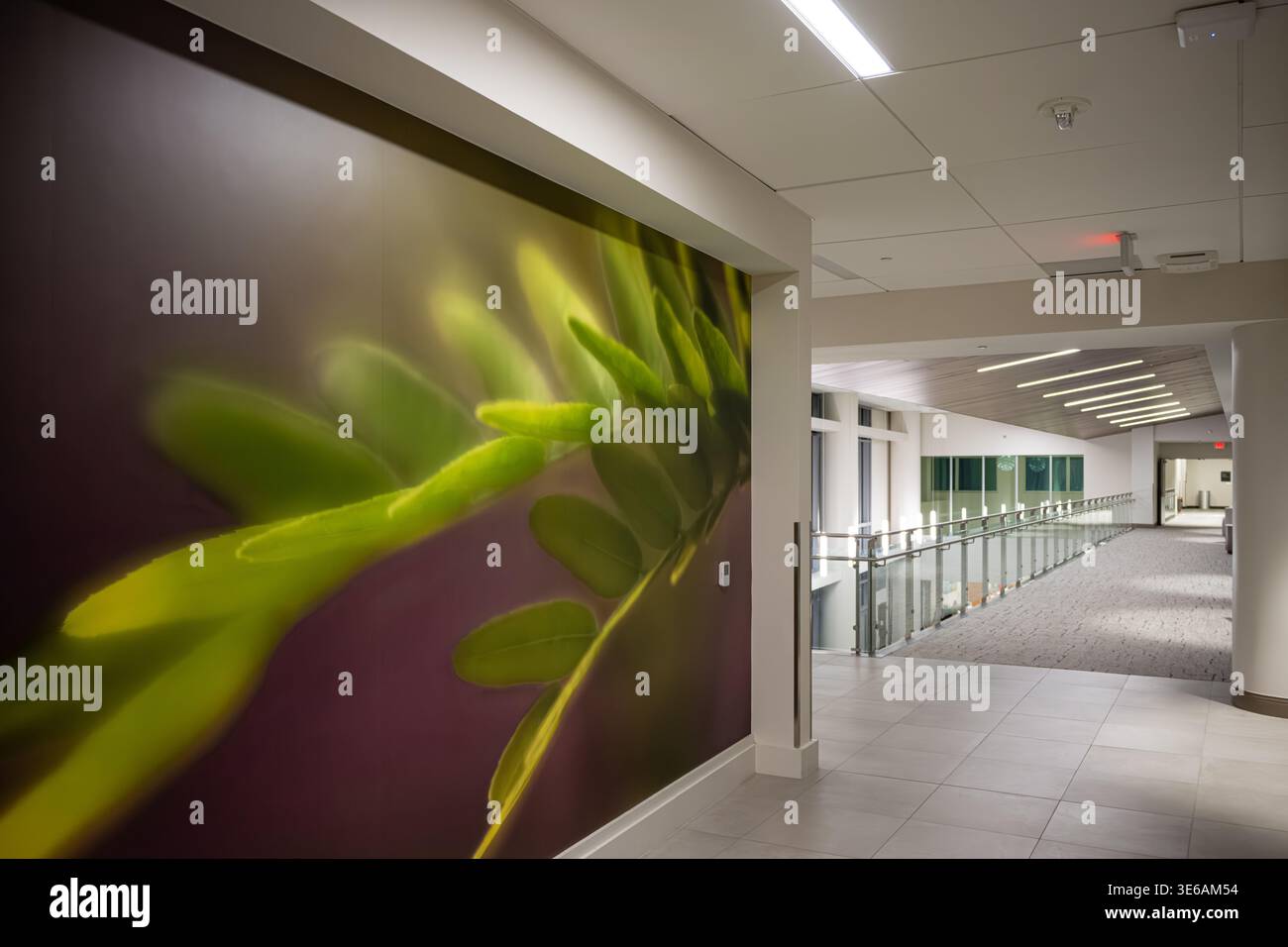 Vista interna del South Lake Hospital, parte del sistema sanitario Orlando Health, a Clermont, Florida. (USA) Foto Stock