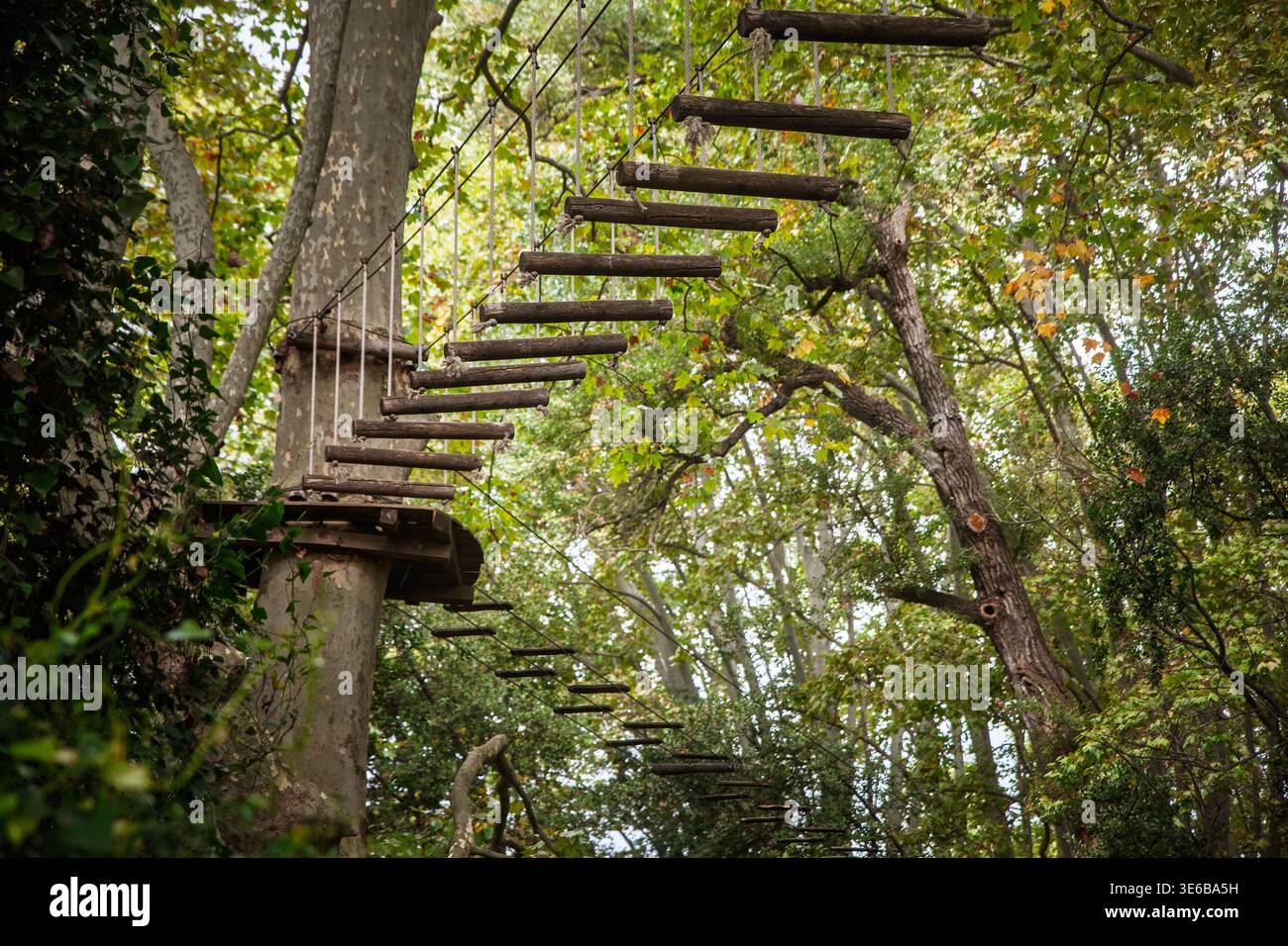 Ponte sospeso in legno, o ponte delle scimmie, in un percorso di avventura aerea nella foresta, mostrando scalini di tronchi sospesi e corde utilizzate per l'equilibrio, l'arrampicata e l'ou Foto Stock