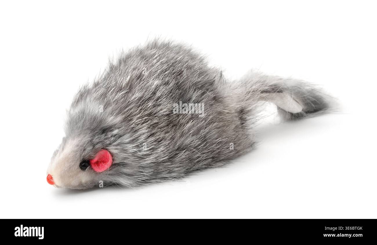 Topo in pelliccia naturale grigio giocattolo isolato su bianco Foto Stock