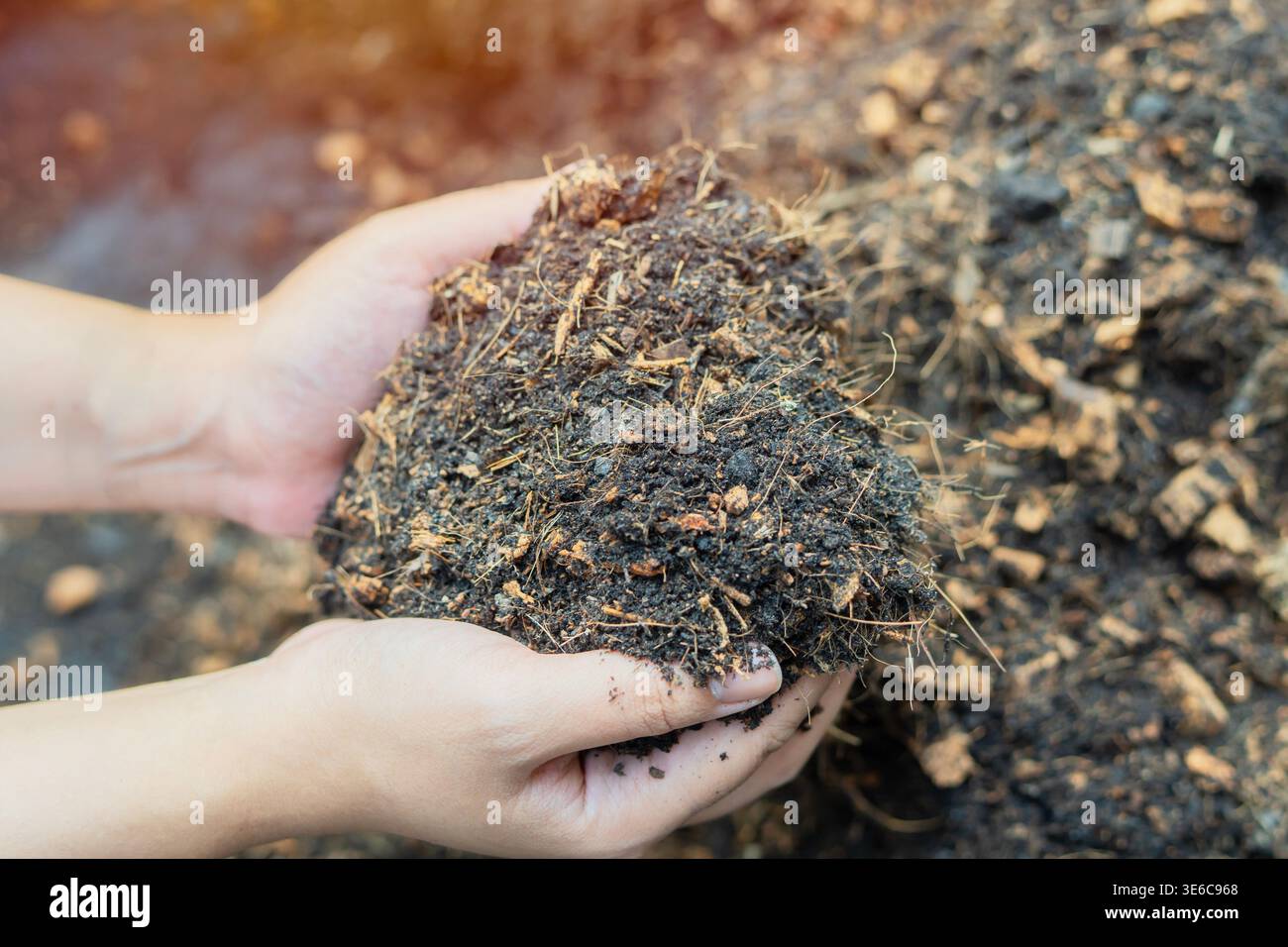 Primo piano di mani di famer che tengono il terreno all'aperto nella fattoria locale. Qualità del suolo Agricoltura, concetto di giardinaggio. Foto Stock