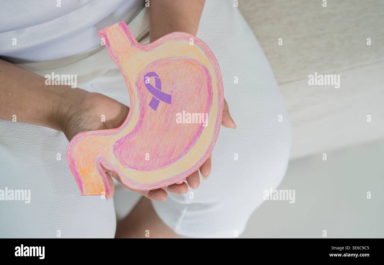 Vista dall'alto della carta per organi dello stomaco sulle mani degli anziani con nastro di colore periwinkle. Concetto di screening del cancro gastrico, problema del tratto digerente e st Foto Stock