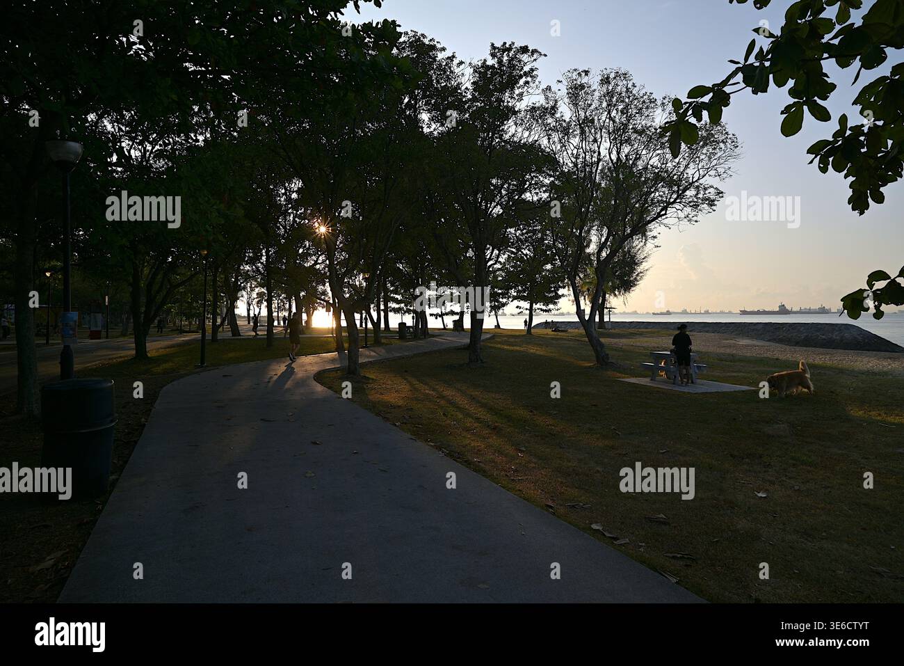 East Coast Park, il più grande parco di Singapore, con percorsi dedicati per jogging e ciclismo lungo la spiaggia e viste panoramiche dello stretto di Singapore Foto Stock