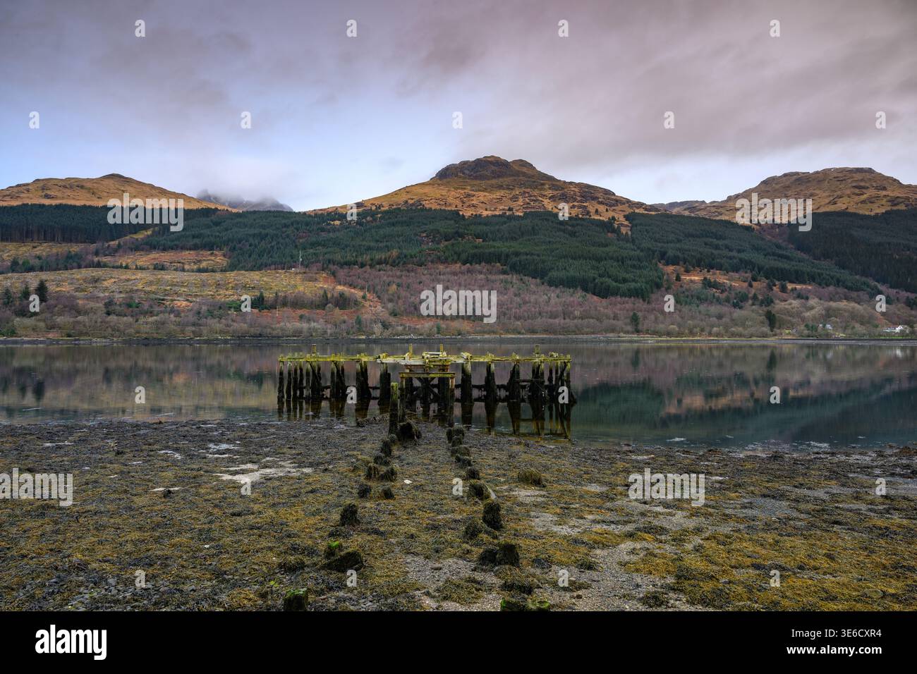 Vecchio molo sul Loch Long con la bassa marea in Scozia Foto Stock